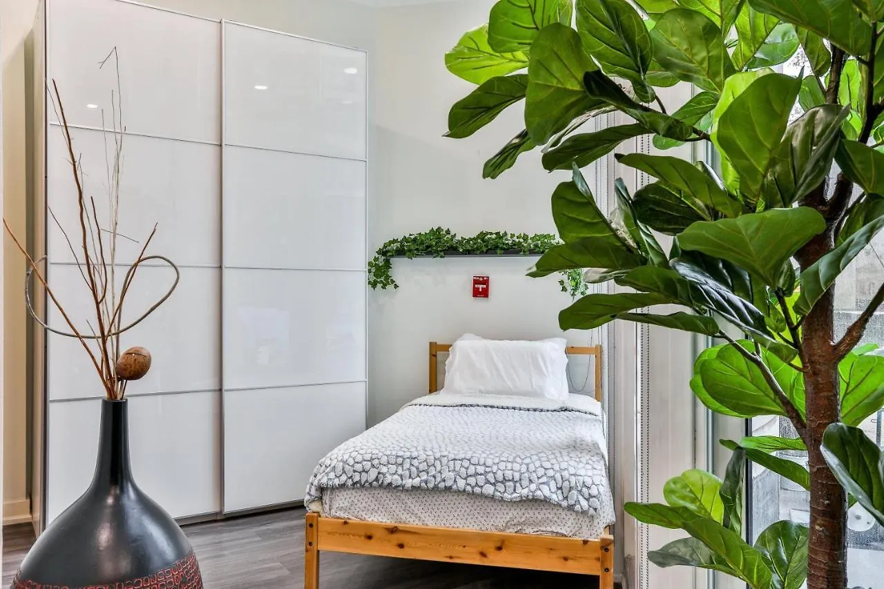 Luxury Treelife Suite Toronto 0*,  Canada